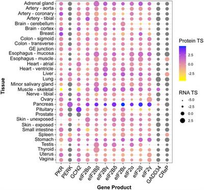 Signaling plasticity in the integrated stress response